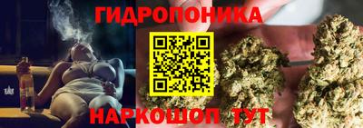 гидропоника Ирбит